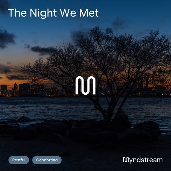 The Night We Met