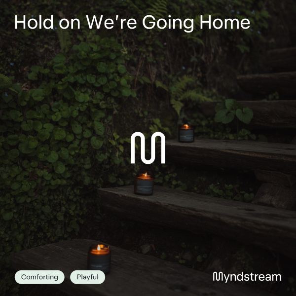 Hold On We're Going Home