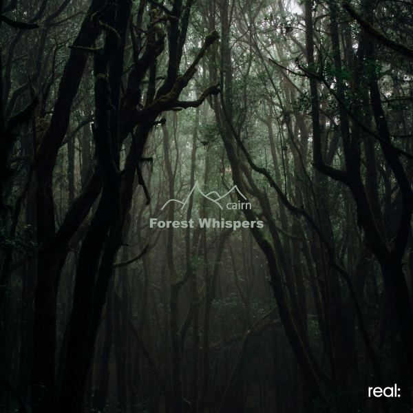 Forest Whispers