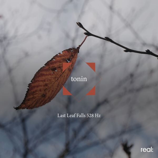 Last Leaf Falls 528 Hz