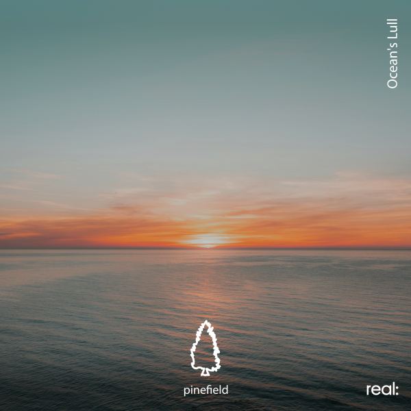 Ocean's Lull