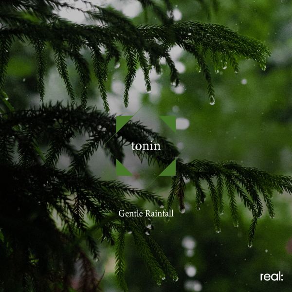 Gentle Rainfall