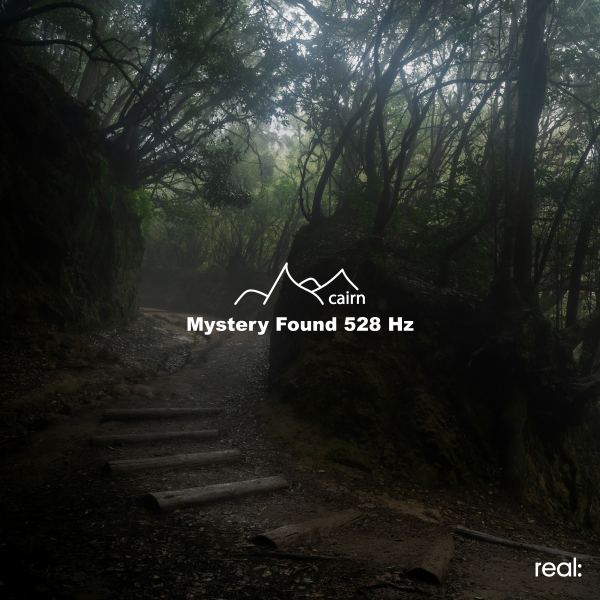 Mystery Found 528 Hz