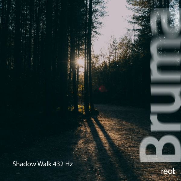 Shadow Walk 432 Hz