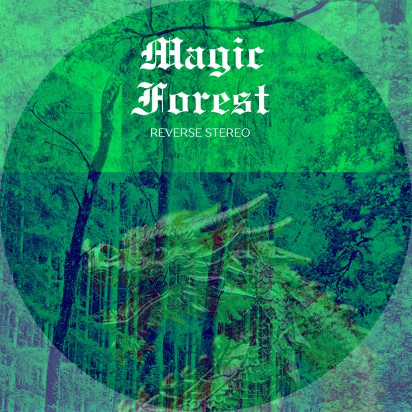 Magic Forest