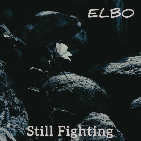 Still Fighting