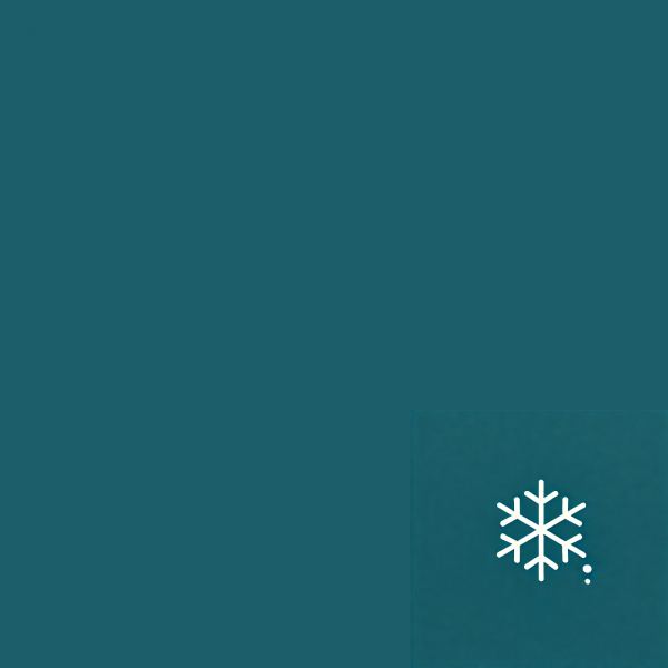 Christmas Past - Italo Disco Mix