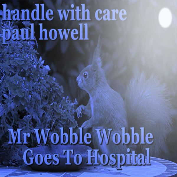 Mr Wobble Wobble Goes To Hospital
