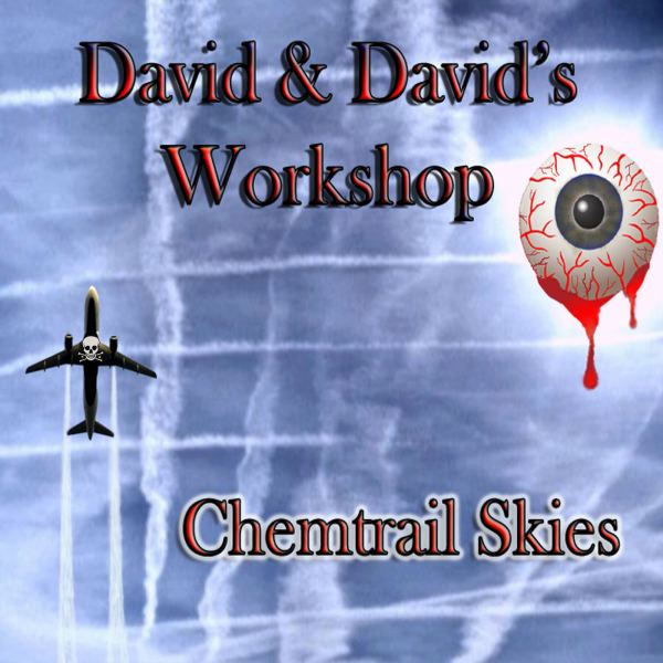 Chemtrail Skies