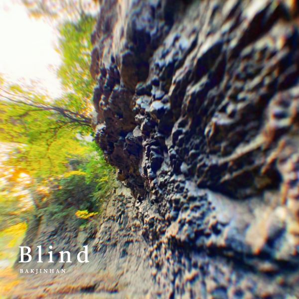 Blind