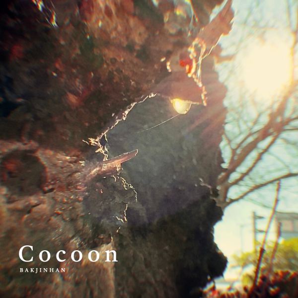 Cocoon