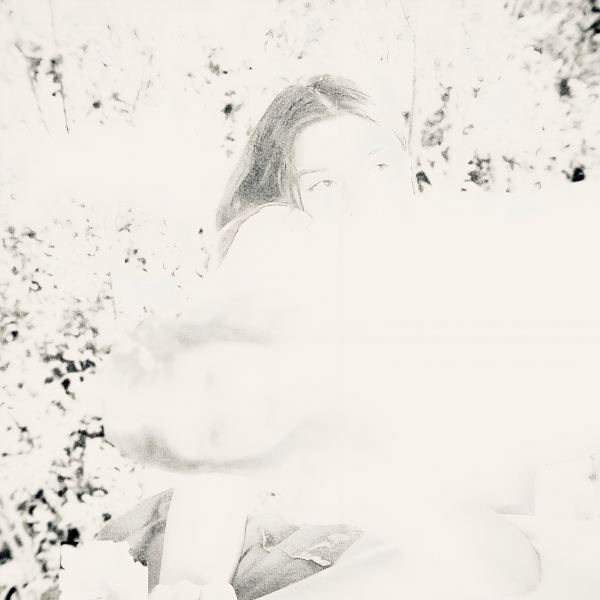 The Dove