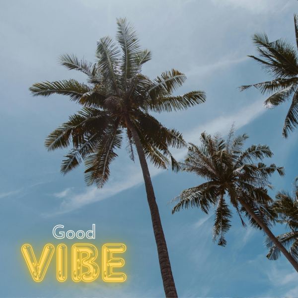 Good Vibe