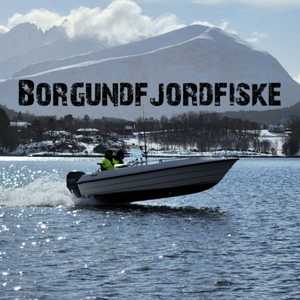 Borgundfjordfiske