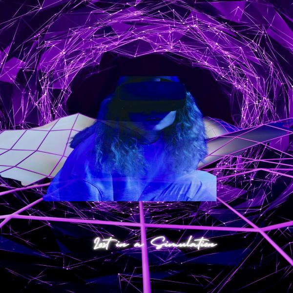 Lost in a simulation