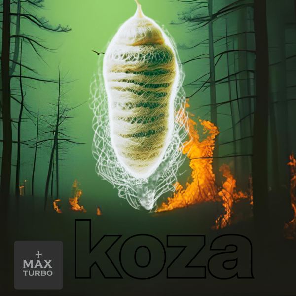 koza