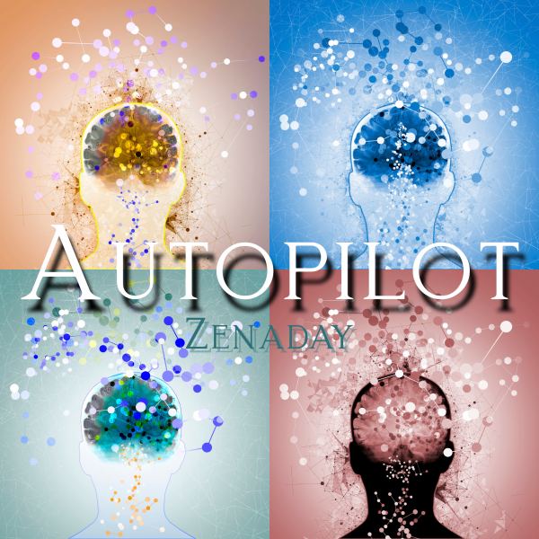 Autopilot