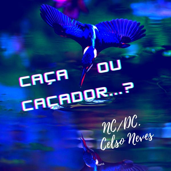 CA&Ccedil;A OU CA&Ccedil;ADOR