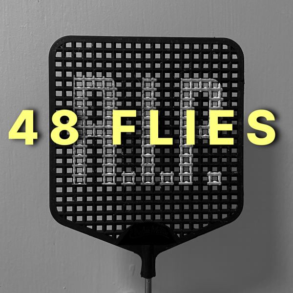 48 Flies