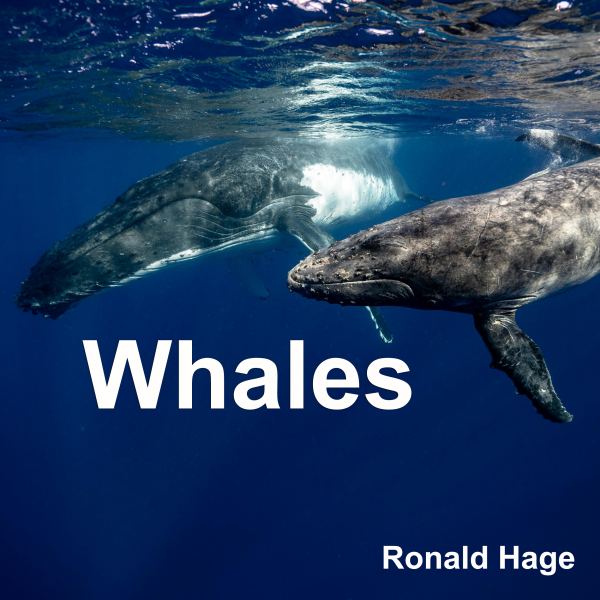 Whales