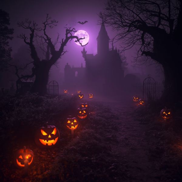 Shadows in the Night