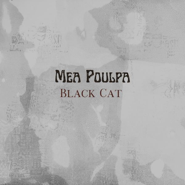 Black Cat