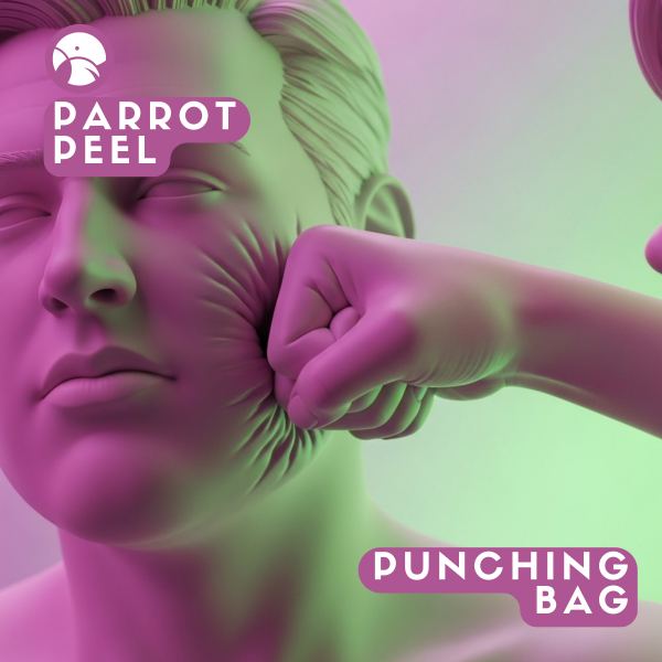 Punching Bag