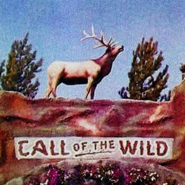 Call of the Wild