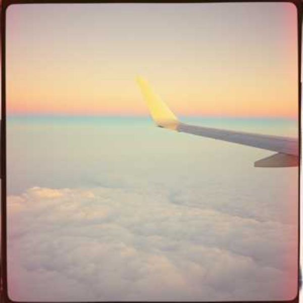 Flying the Friendly Skies
