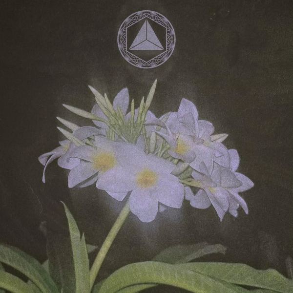 Fade Into Materia