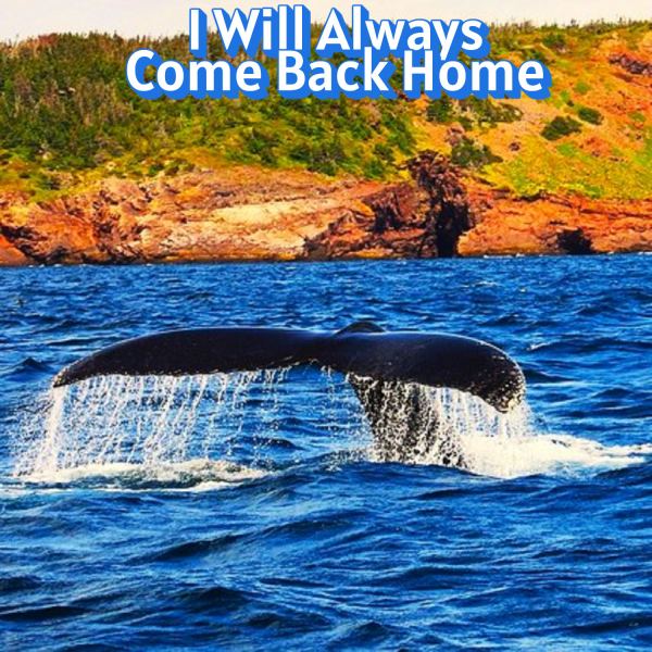 I Will Always Come Back Home