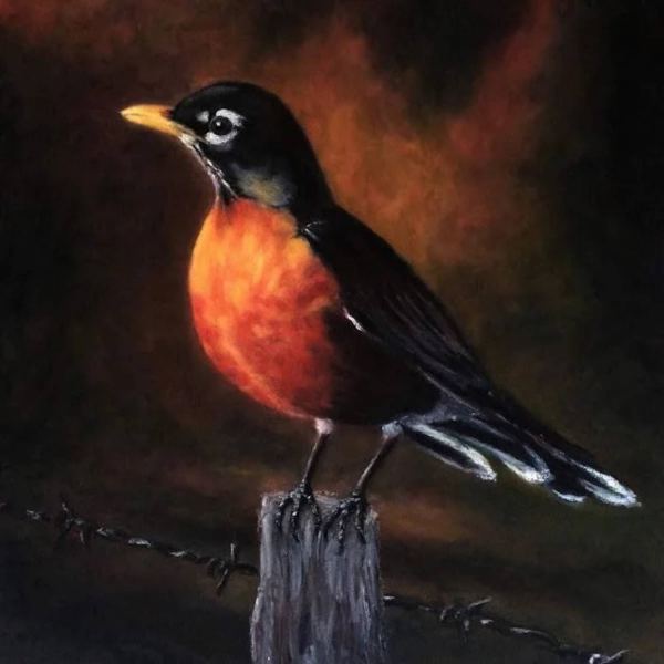 O ROBIN