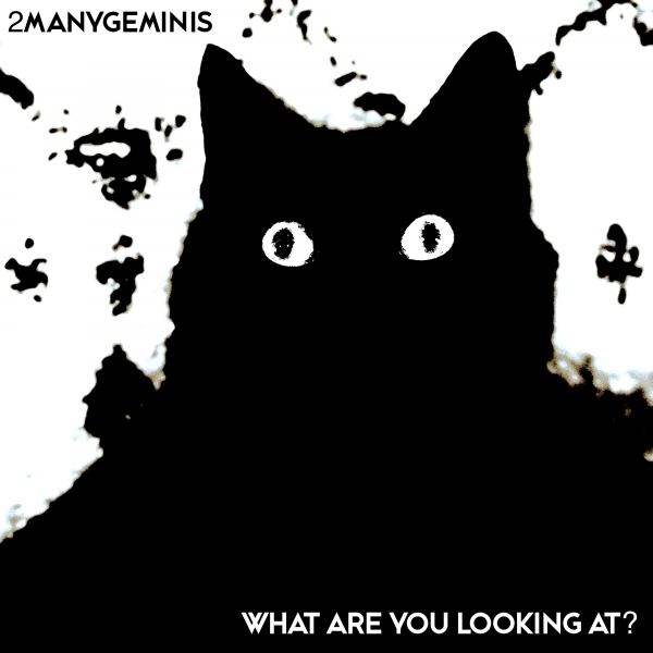 What Are You Looking At?