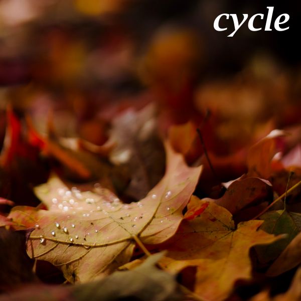 Cycle