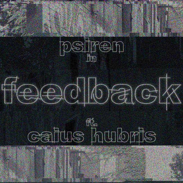 Feedback