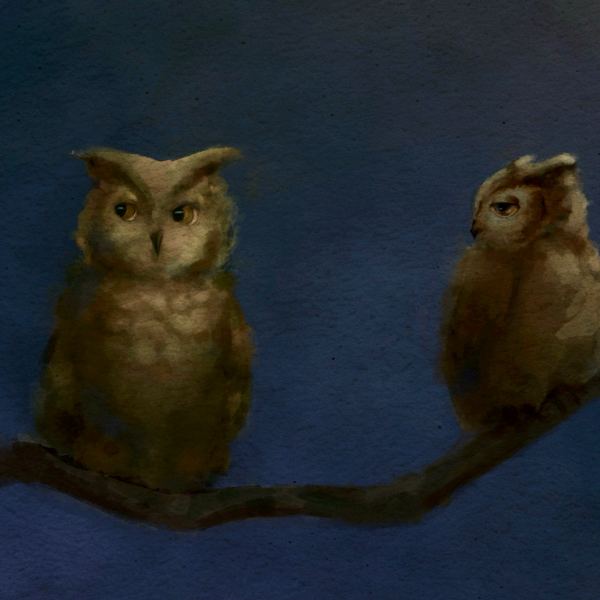 Night Owl