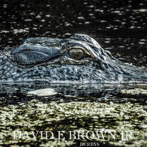 LOUISIANA FRIDAY NIGHT