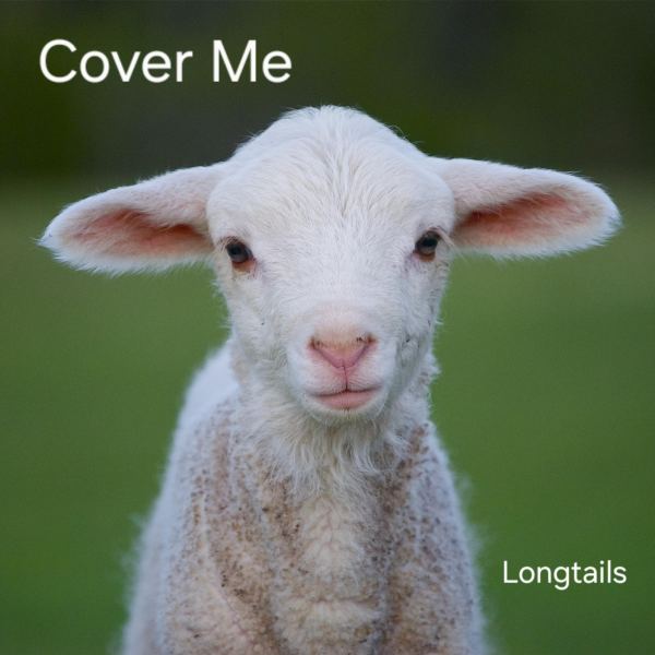 Cover Me