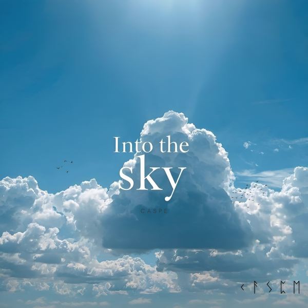 Into the sky