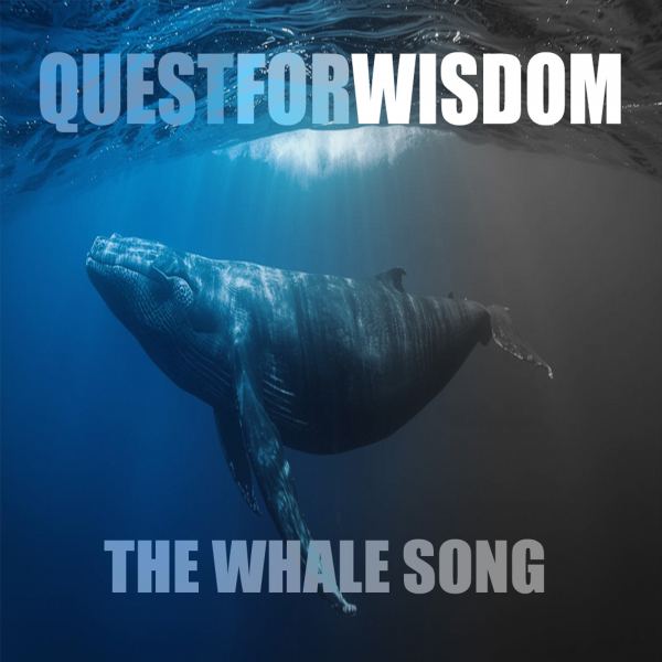 The Whale Song
