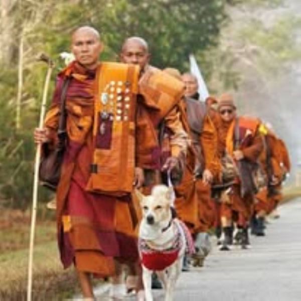 Walk for Peace