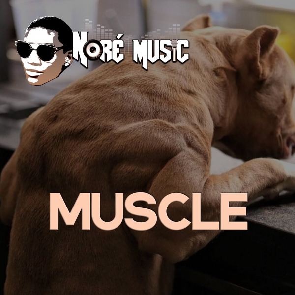 Muscle - Instrumental