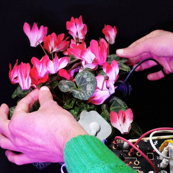 Cyclamen Breathes A - Side A