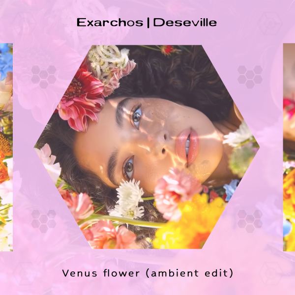 Venus flower - Ambient edit