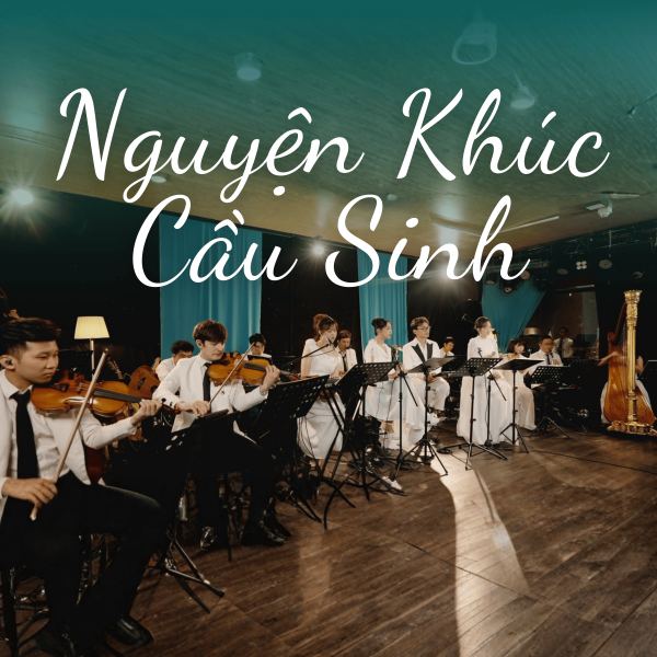 Đời Phù Hoa - Live