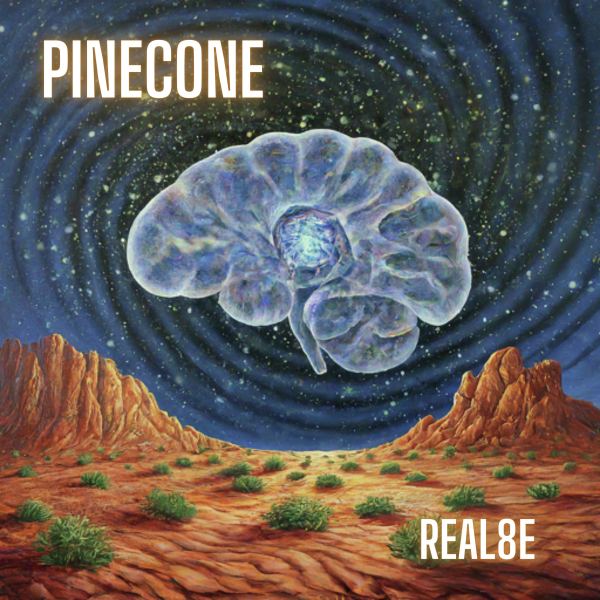 Pinecone