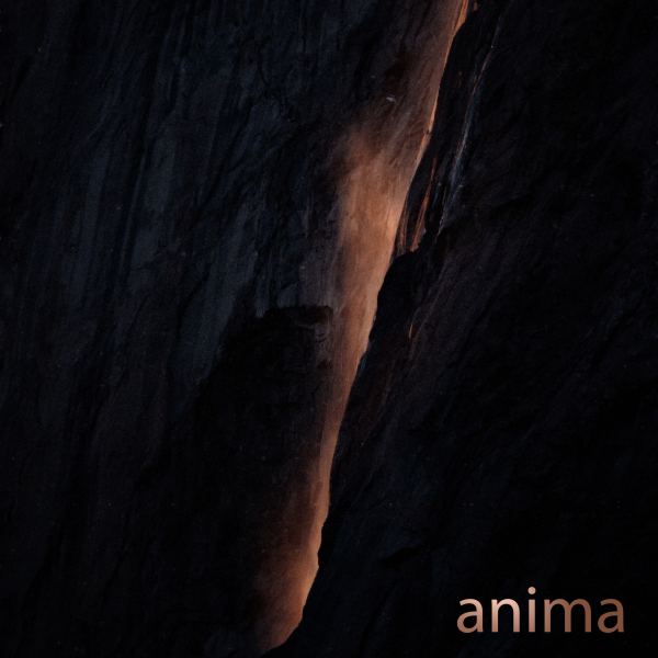 Anima - Radio Edit
