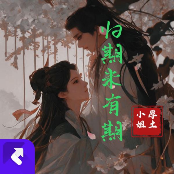 归期未有期（DJ舞曲版）