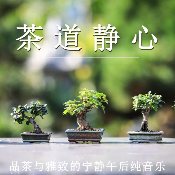 茶道静心 品茶与雅致（轻松纯音乐）