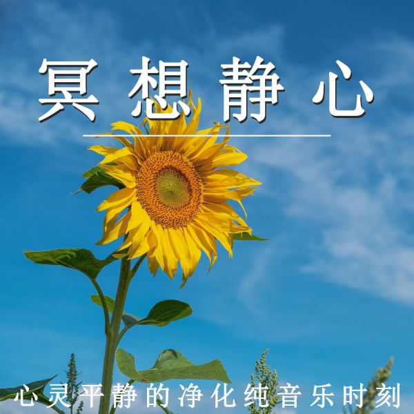 冥想静心 心灵平静(轻松纯音乐)